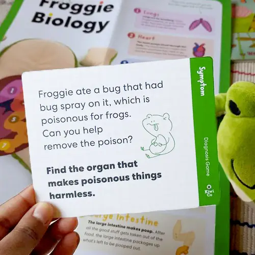 symptom game cards to diagnose froggie